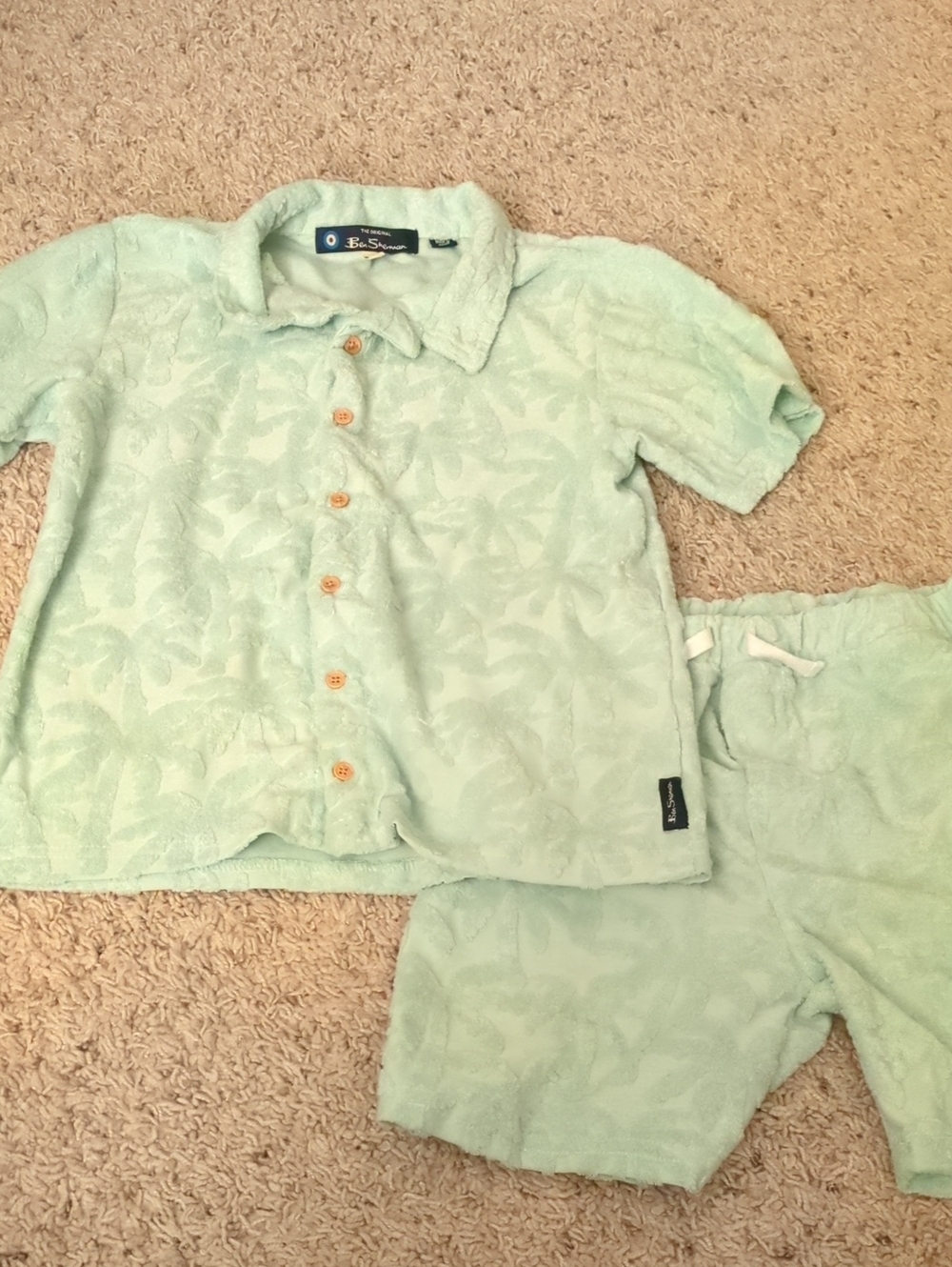Ben Sherman Boy's Mint Green Terry Button-Up Top and Shorts Set
